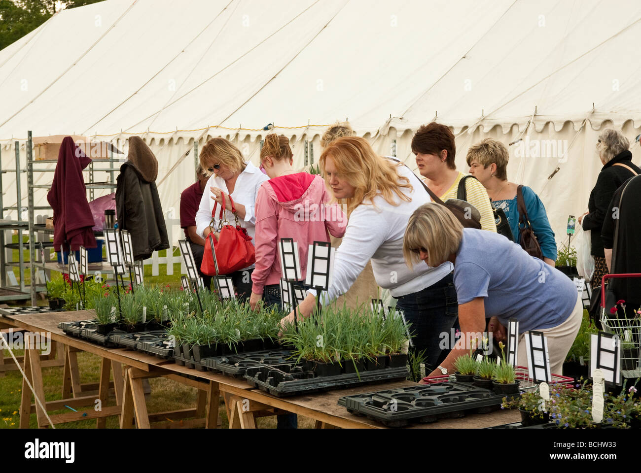 buying plants at an English country flower  show near emsworth Stock Photo