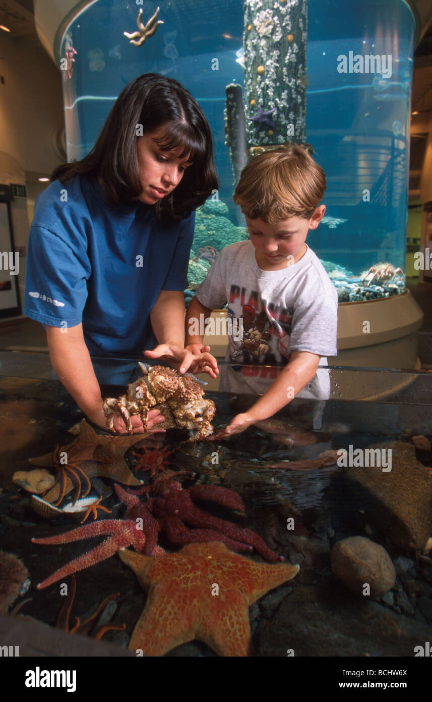 Mother & Son Kodiak Sea Life Touch Tank SW Alaska Stock Photo Alamy