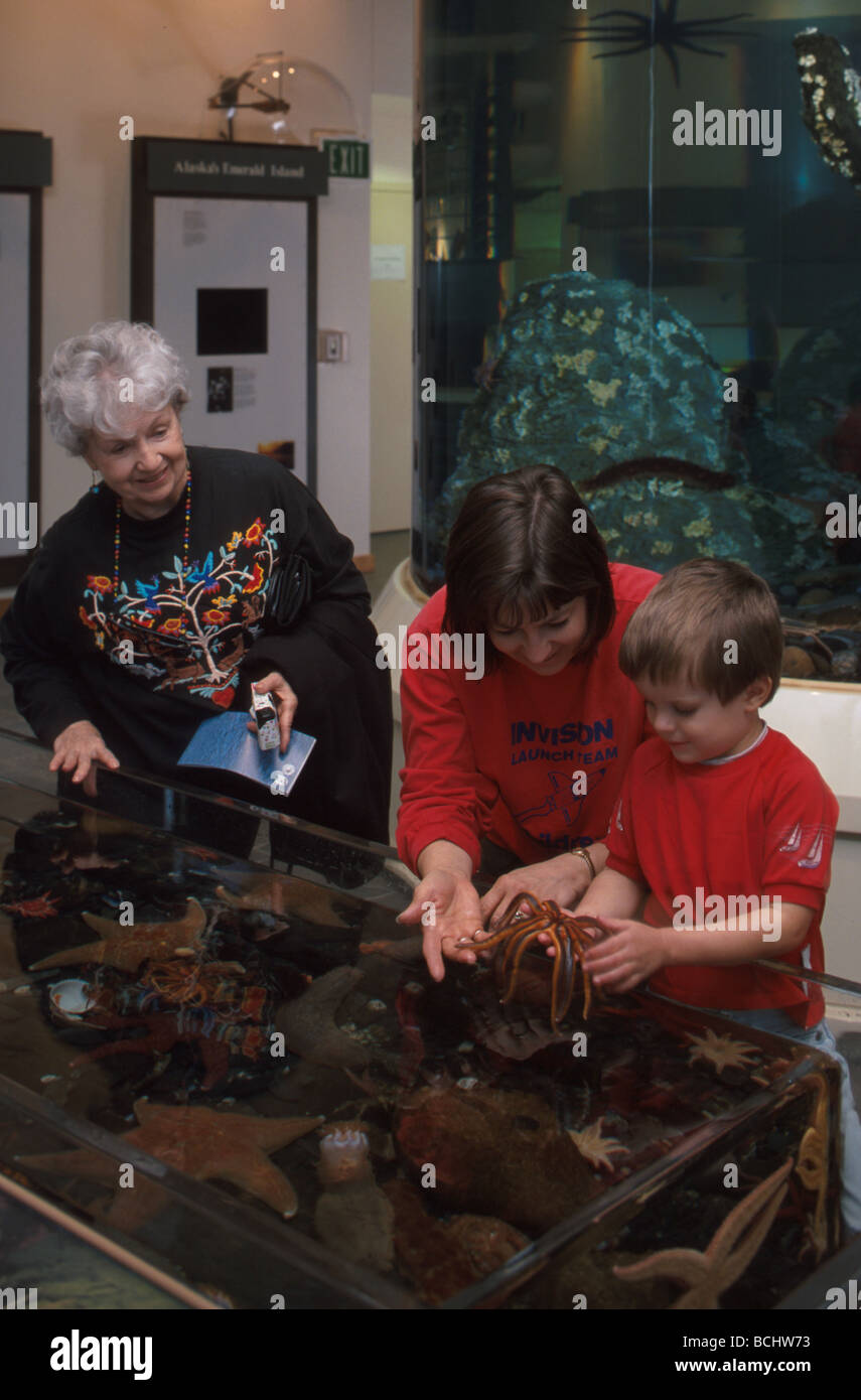 Kodiak Touch Tank Hours at Donna Caruso blog