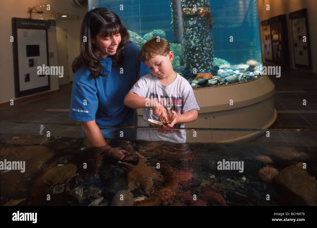 Mother & Son Kodiak Sea Life Touch Tank SW Alaska Stock Photo Alamy