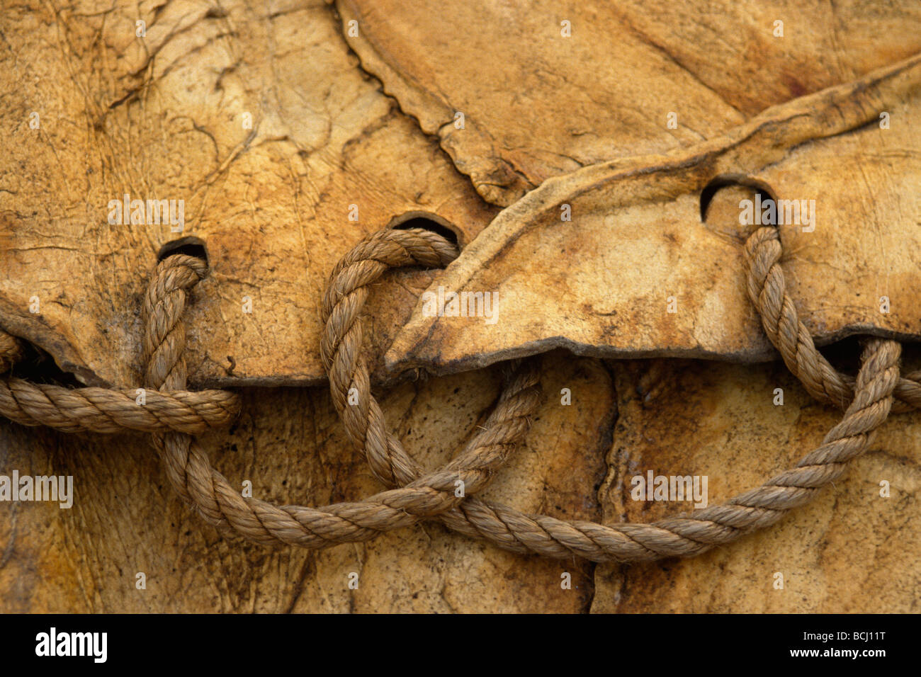 Traditional Eskimo Walrus hide blanket Alaska Stock Photo - Alamy