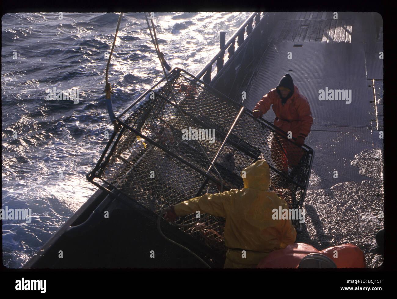 Fisherman Unloads Crab Pot on Deck Bering Sea AK /nOpilio Crab Season F