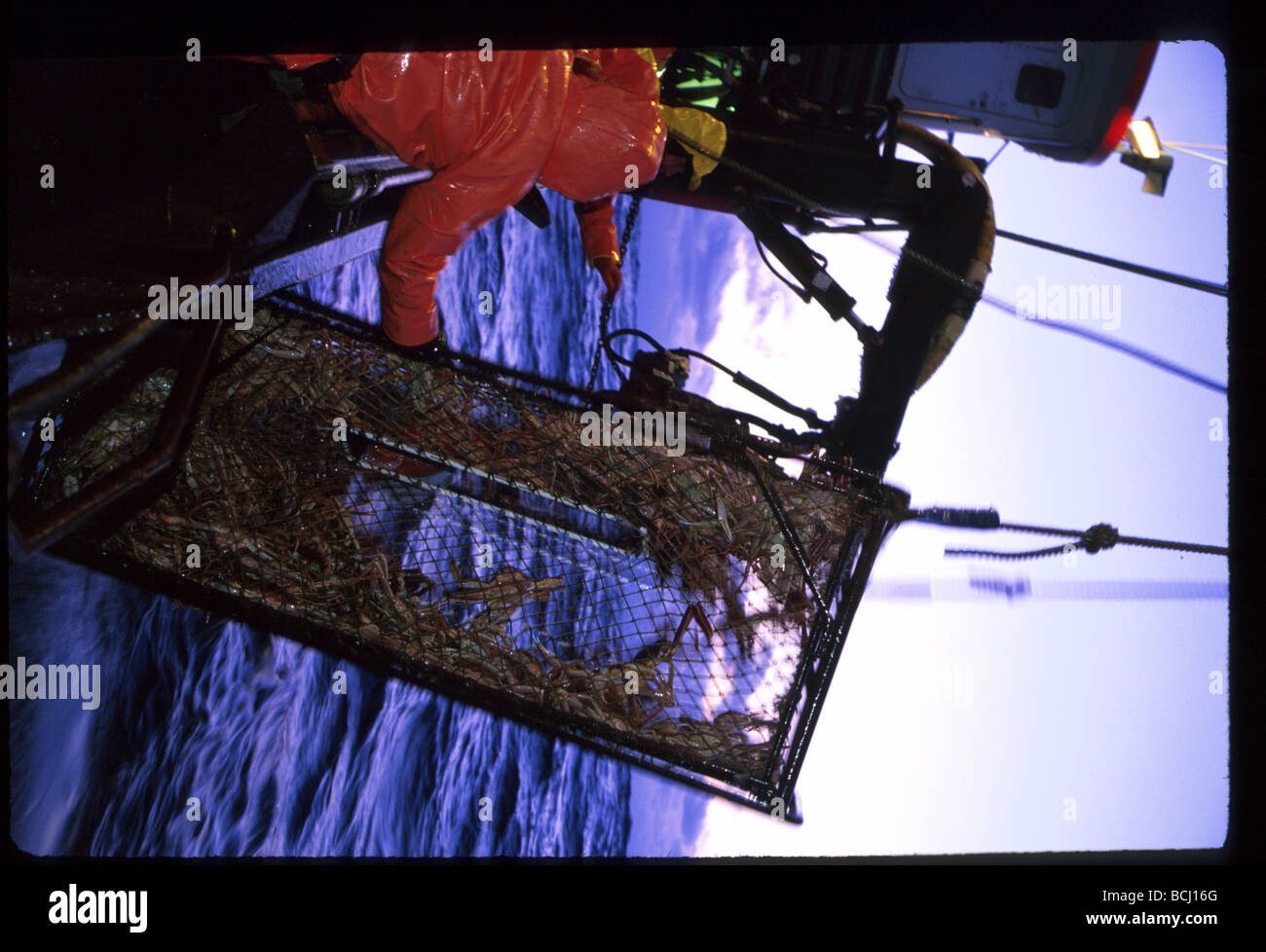 Fishermen Unloads Crab Pots Bering Sea SW AK /nOpilio Crab Season F/V