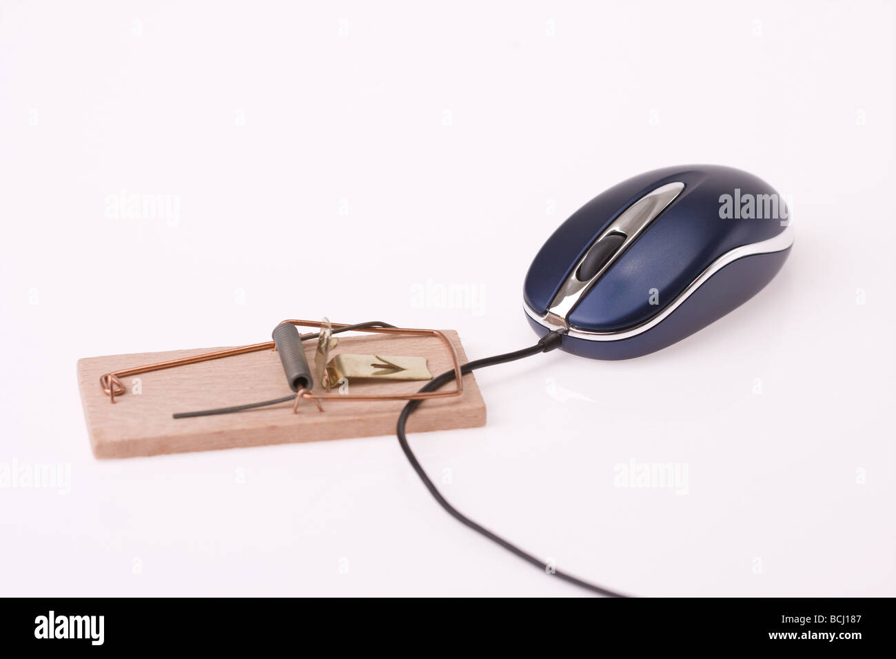 the computer mouse in mousetrap Stock Photo Alamy