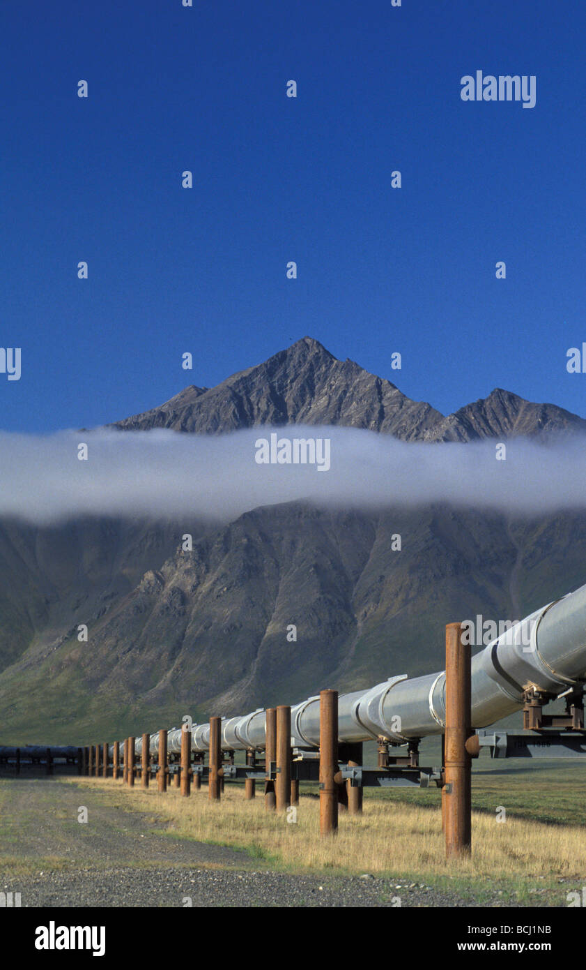 Trans-AK Pipeline near Pump Station #4 IN Alaska Summer Brooks Range Stock Photo