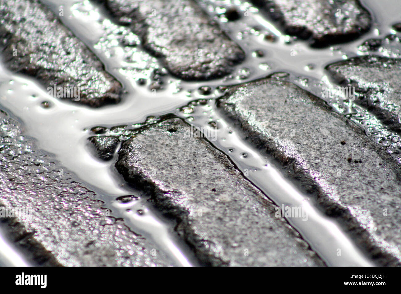 Paving stones in the rain Stock Photo Alamy