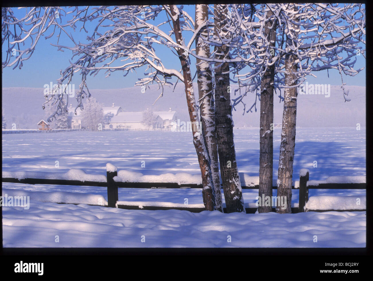 Creamer's Field Wildlife Refuge Fairbanks Winter AK Stock Photo Alamy