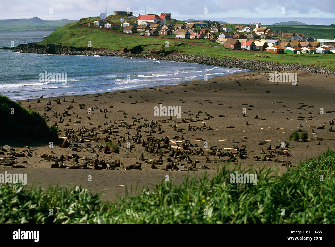 Village of St. Paul on Pribilof Island SW AK Stock Photo Alamy