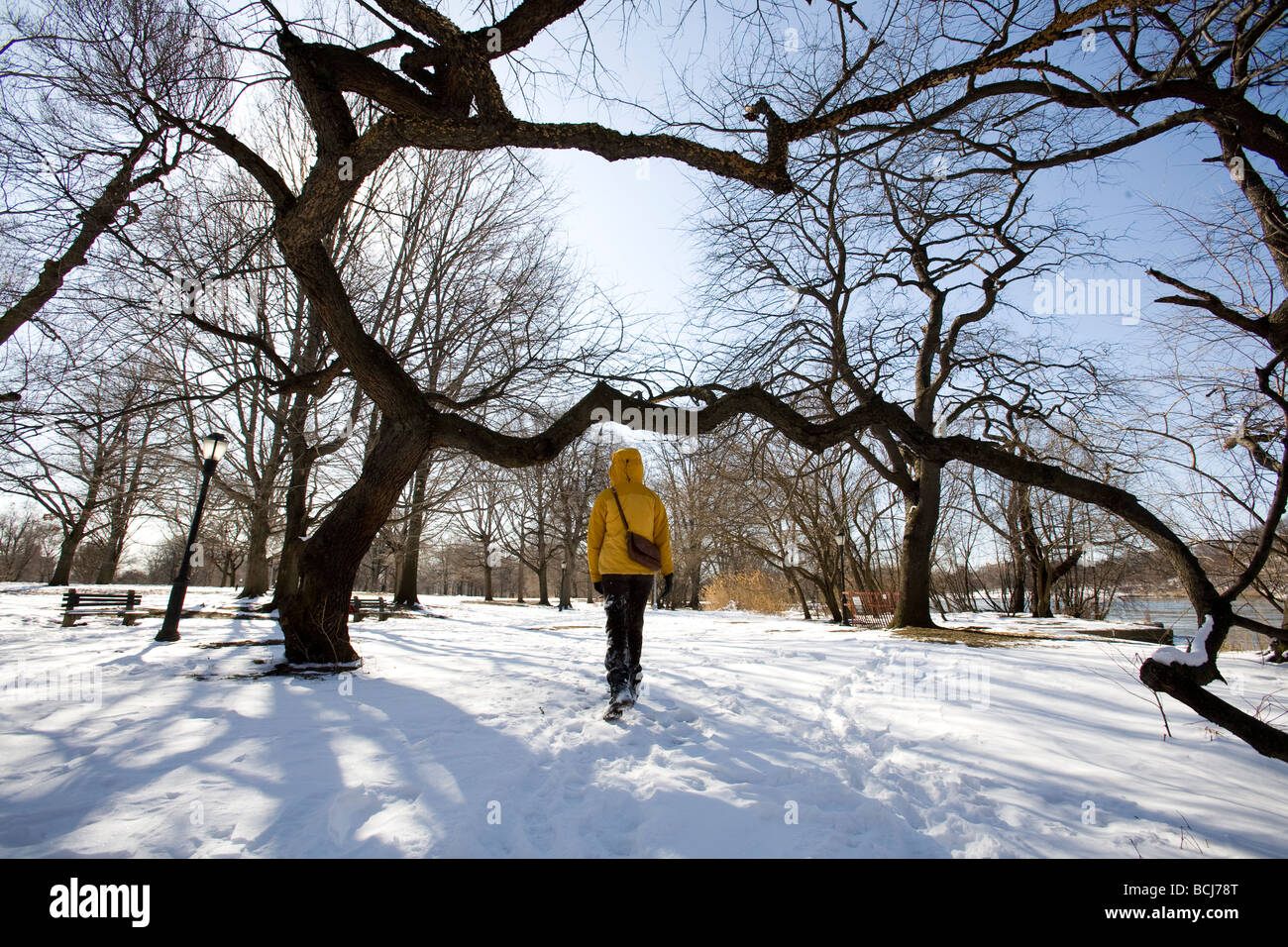 Young woman walks alone on a winter day in Prospect Park Brooklyn New
