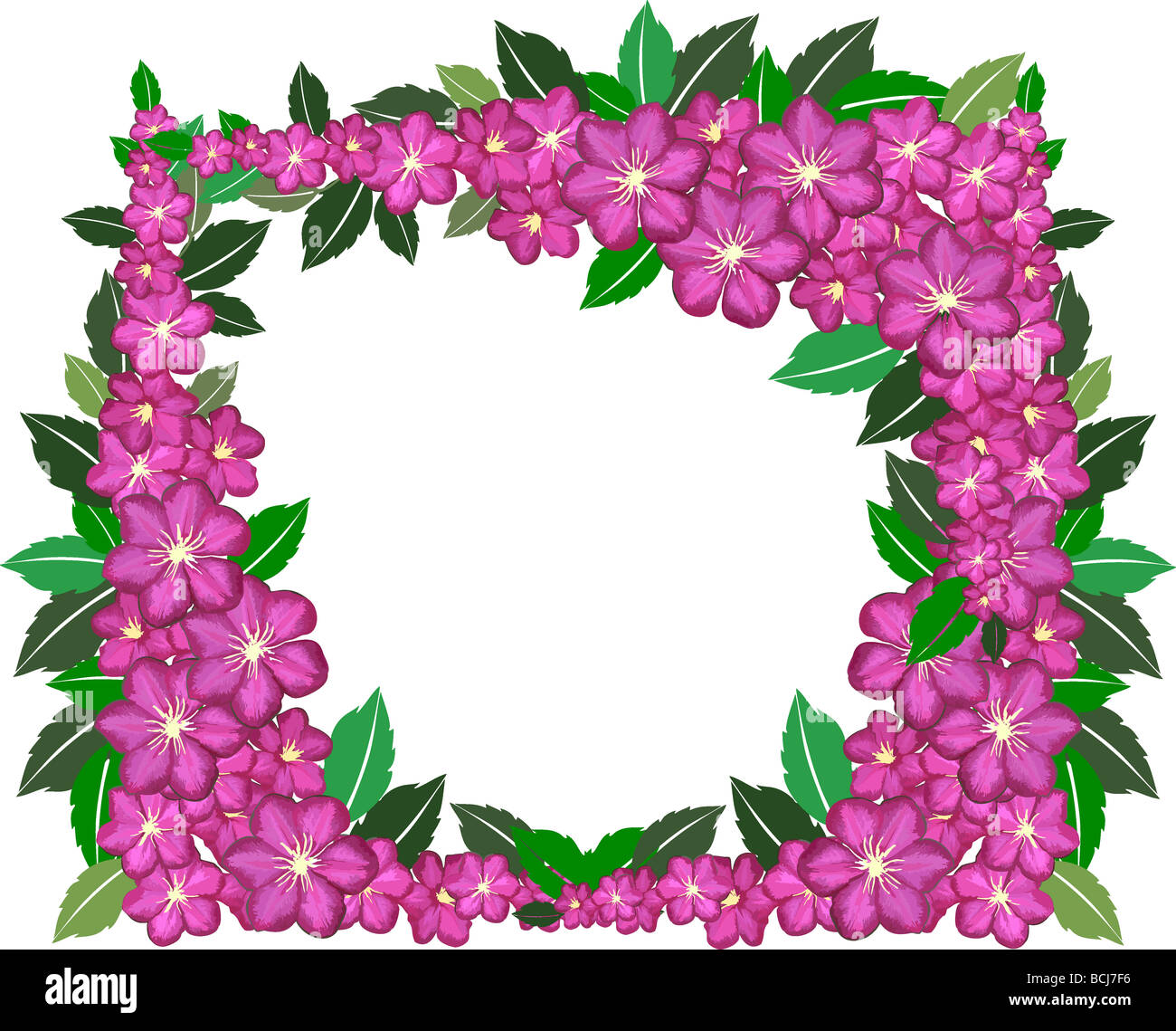 illustration of a flower frame on white background Stock Photo - Alamy