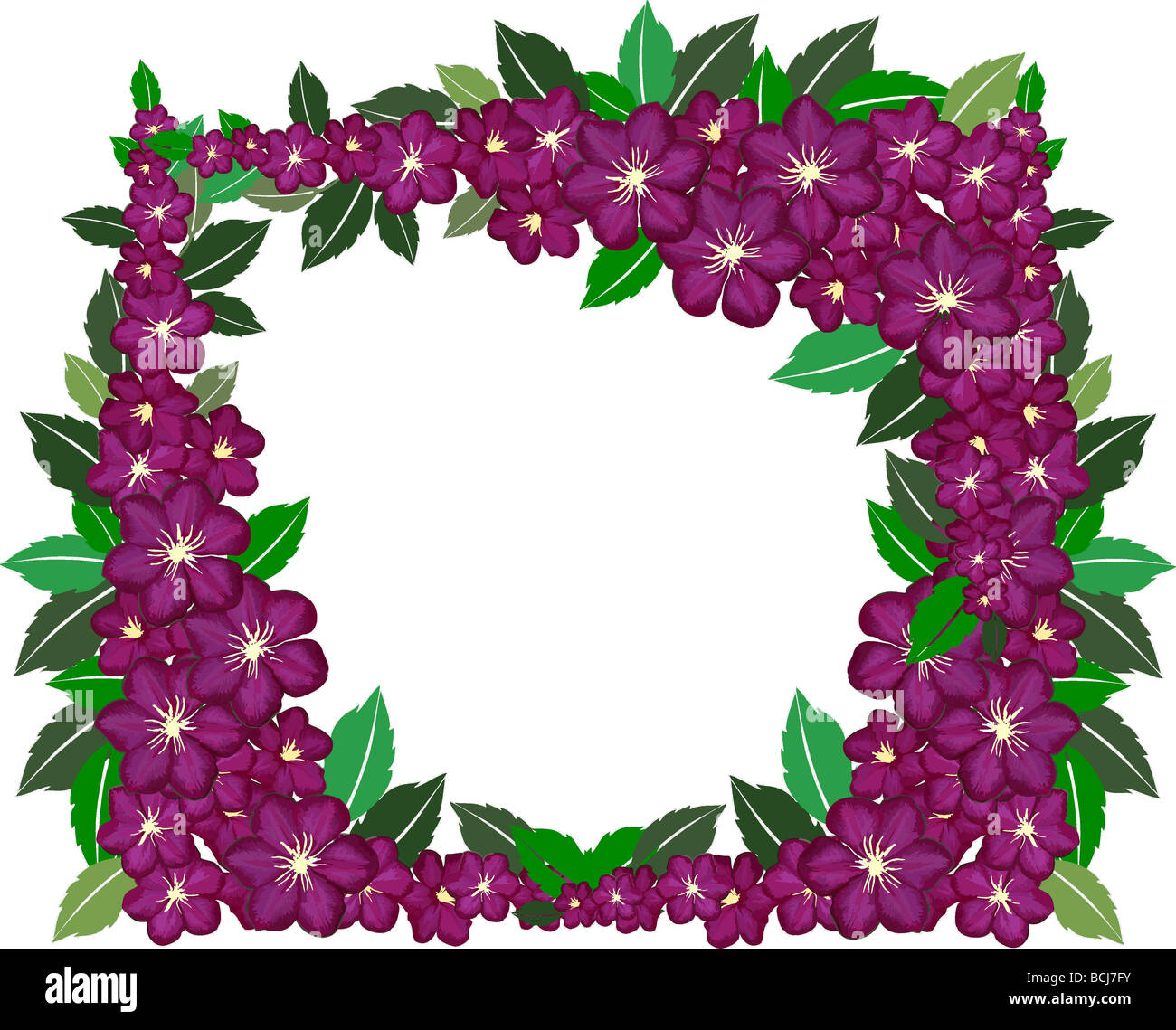 illustration of a flower frame on white background Stock Photo - Alamy