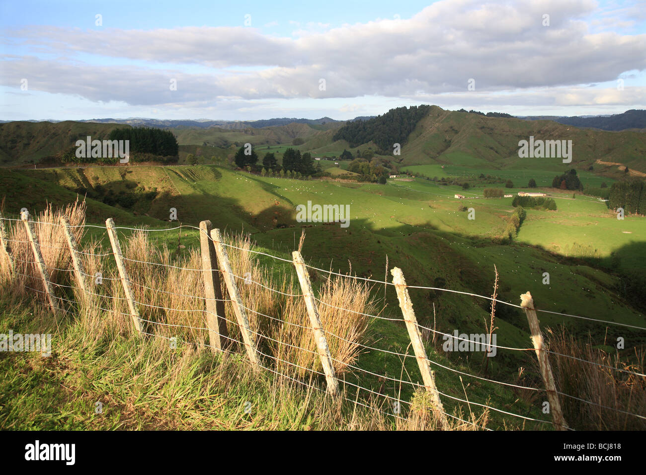 Old farm fence leaning over, rolling rural countryside, New Zealand Stock Photo