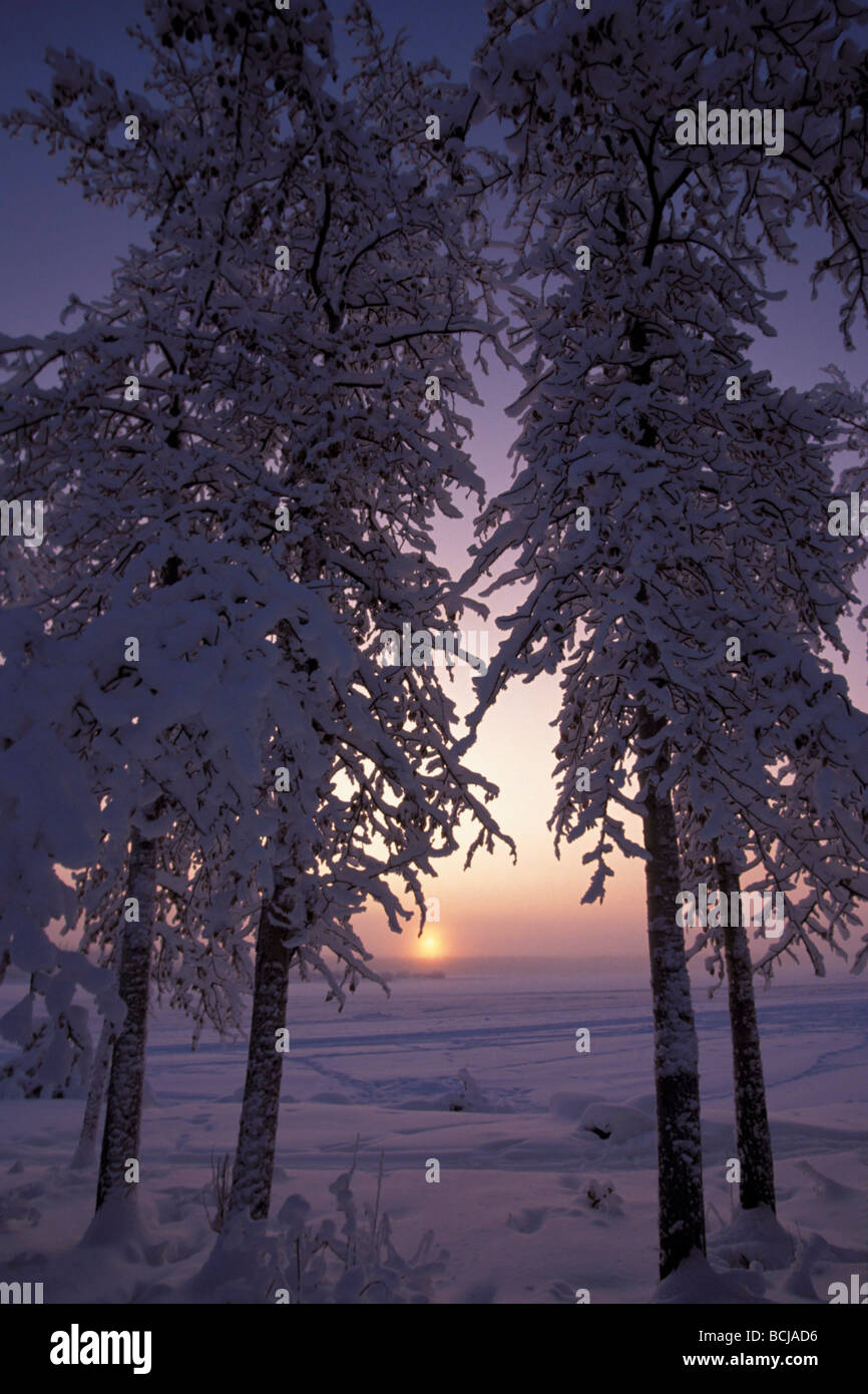 Winter Solstice Sunset on Tanana River IN Alaska Winter Stock Photo