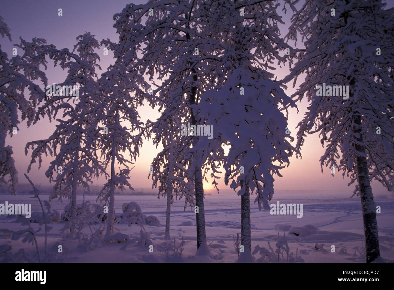 Winter Solstice Sunset on Tanana River IN Alaska Winter Stock Photo