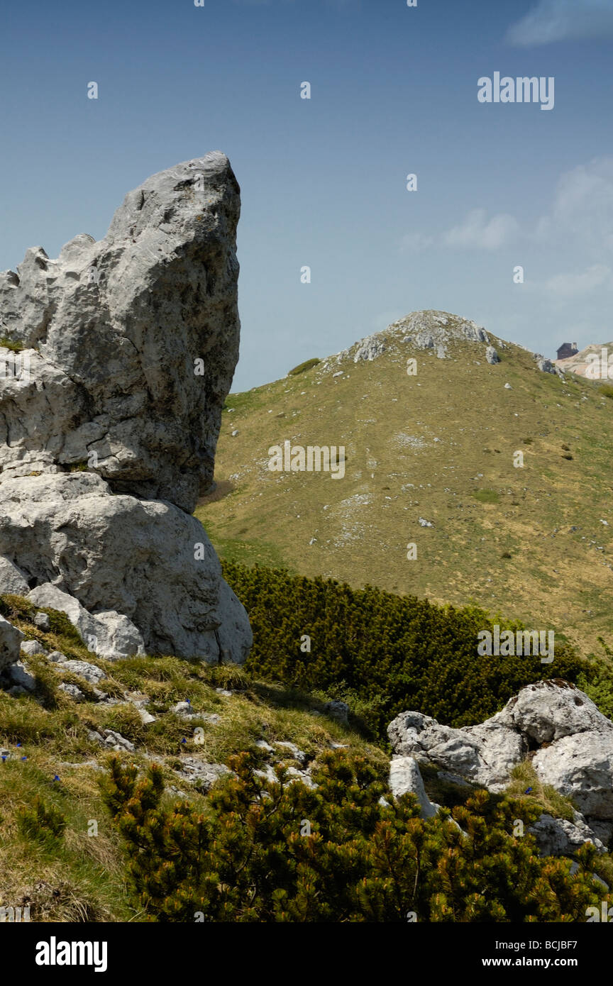 View of mountain Guslica in Gorski kotar, Croatia, Europe Stock Photo