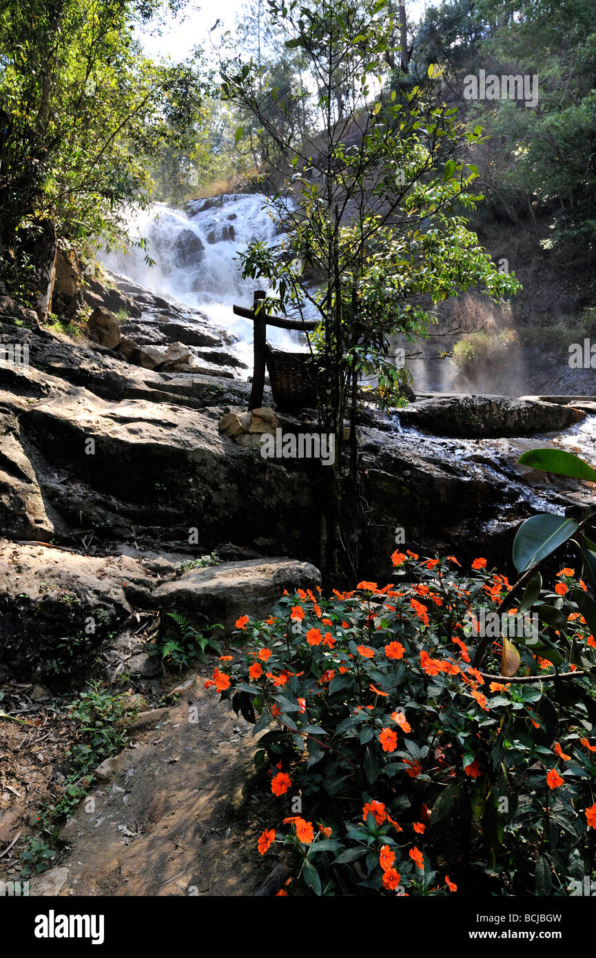 Orange flowered Balsam (Impatiens sp) at Datanla Waterfall, Da Lat, Vietnam Stock Photo