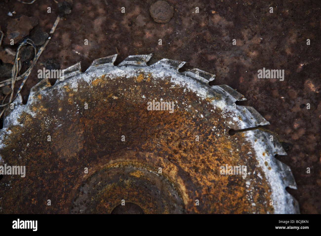 Rusty saw blade Stock Photo Alamy