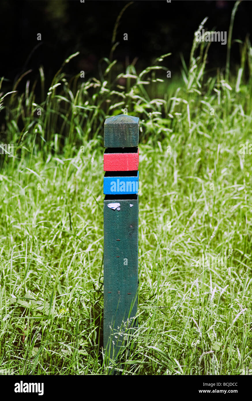 Woodland footpath marker post hi-res stock photography and images - Alamy