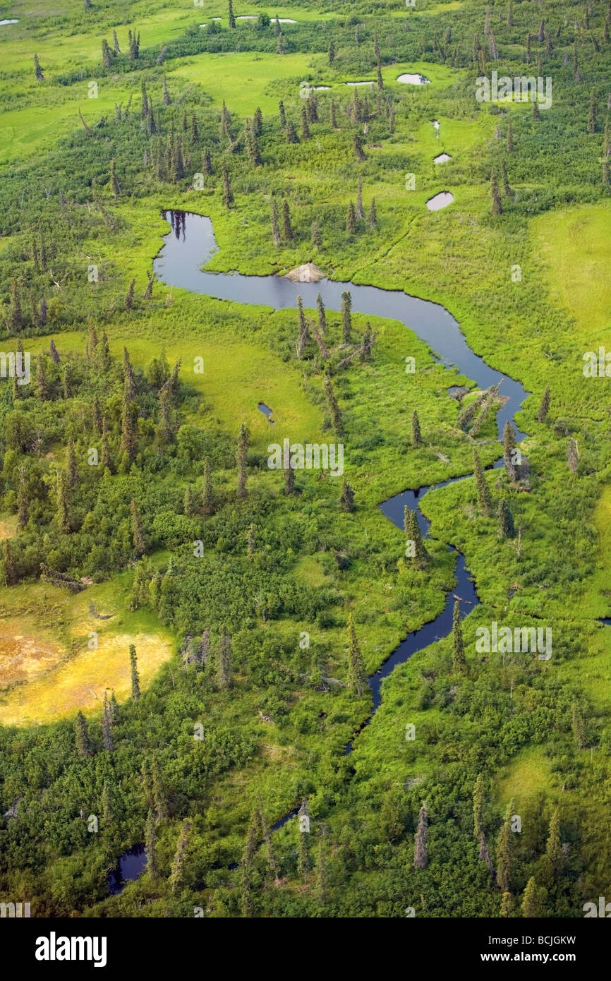 Aerial of tundra w/small creek & beaver dam lower Kuskokwim River