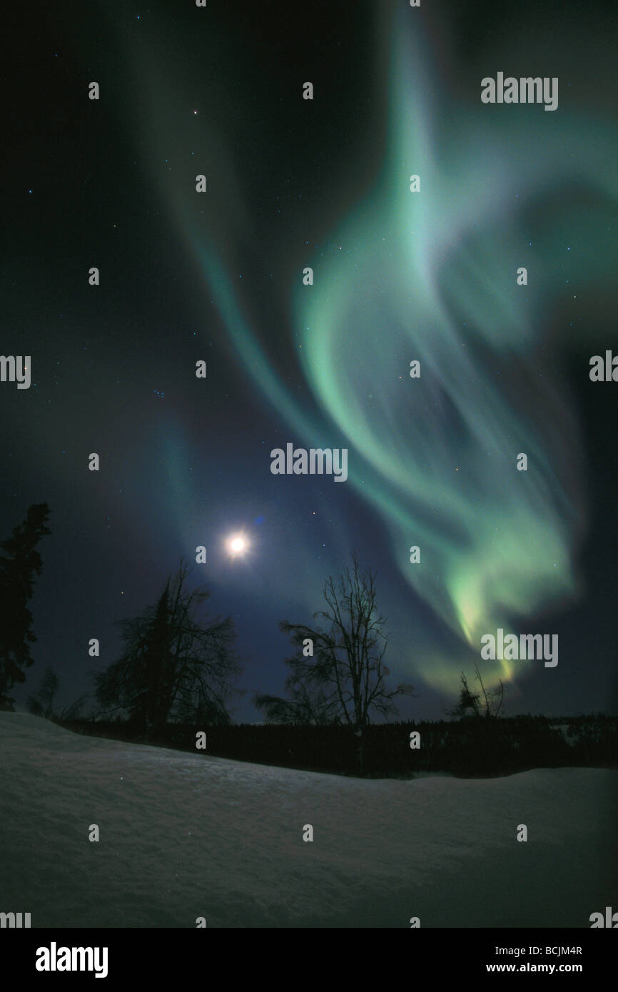 N.Lights & Moon Over Denali SP SC Alaska Winter /nnear McKinley Princess Lodge Stock Photo