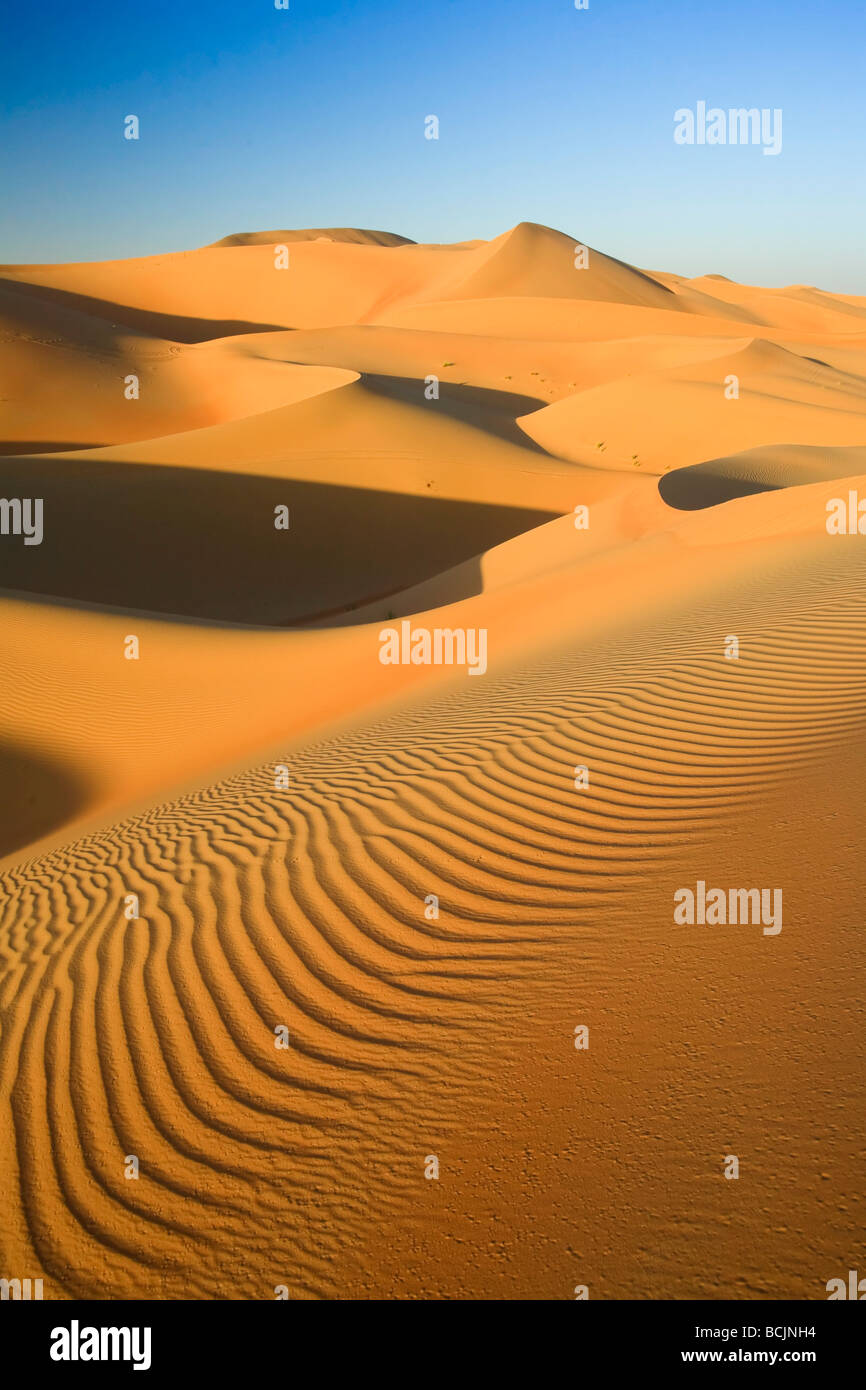 United Arab Emirates, Liwa Oasis, Sand dunes near the Empty Quarter Desert Stock Photo