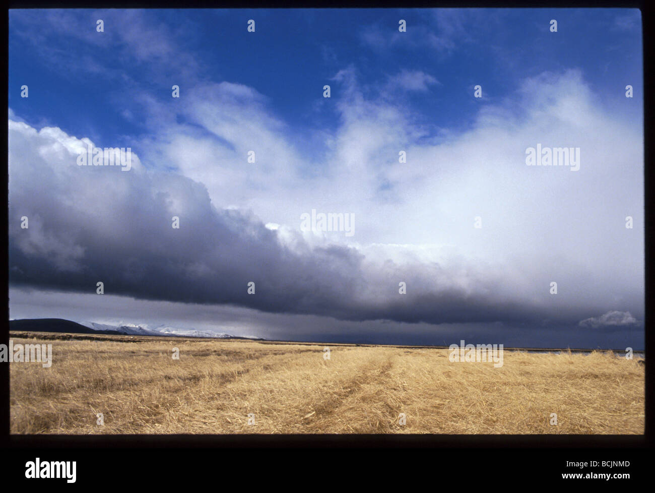 Togiak hires stock photography and images Alamy