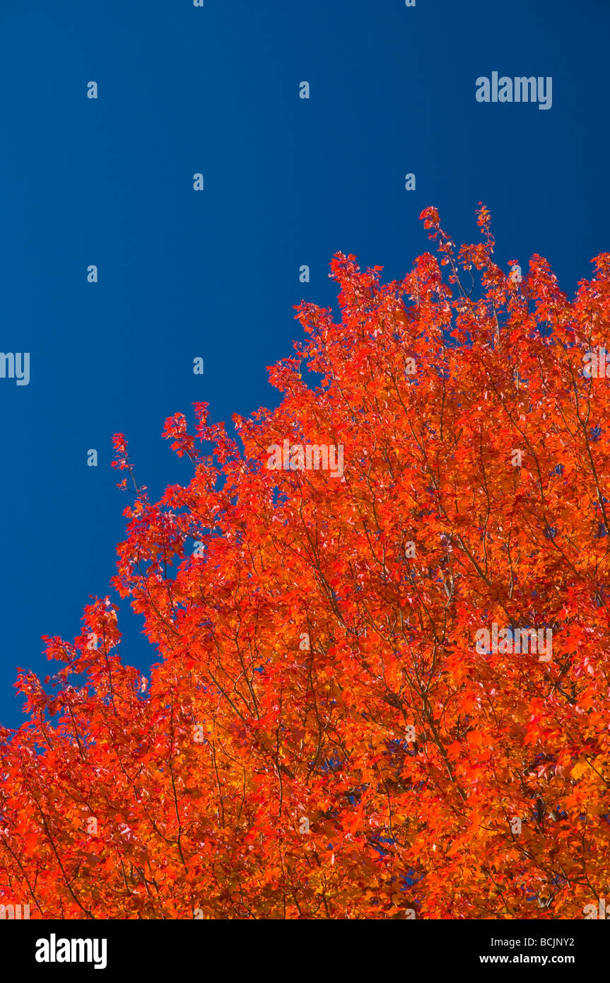 USA, Maine, Wiscasset Stock Photo Alamy