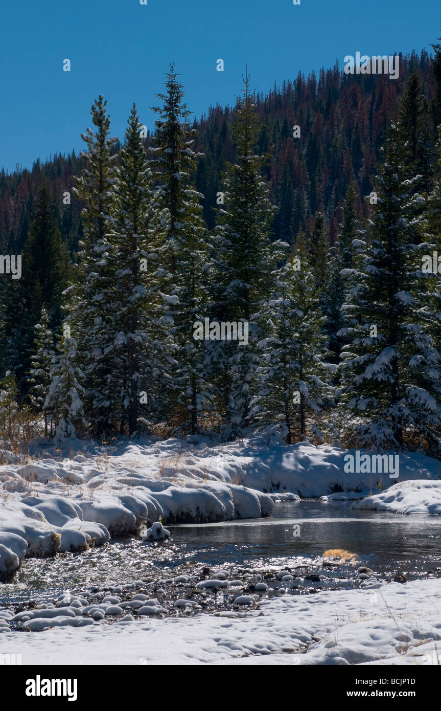 Rocky mountain national hi-res stock photography and images - Alamy