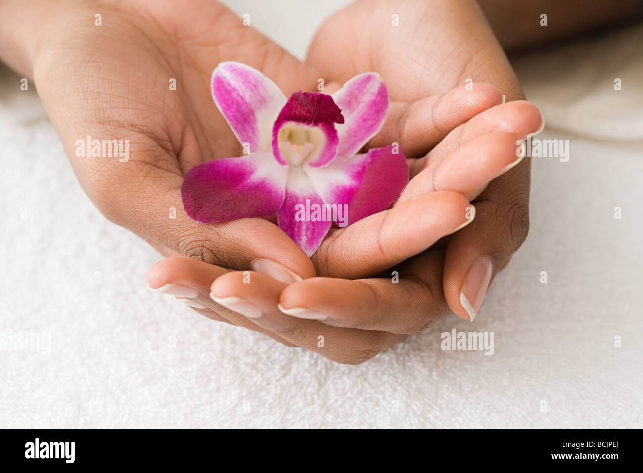 Hands holding an orchid Stock Photo