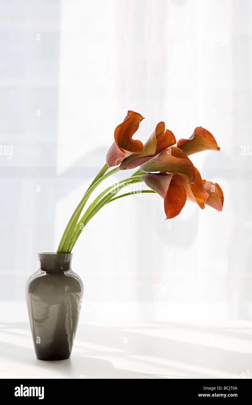 Lilies in a vase hires stock photography and images Alamy