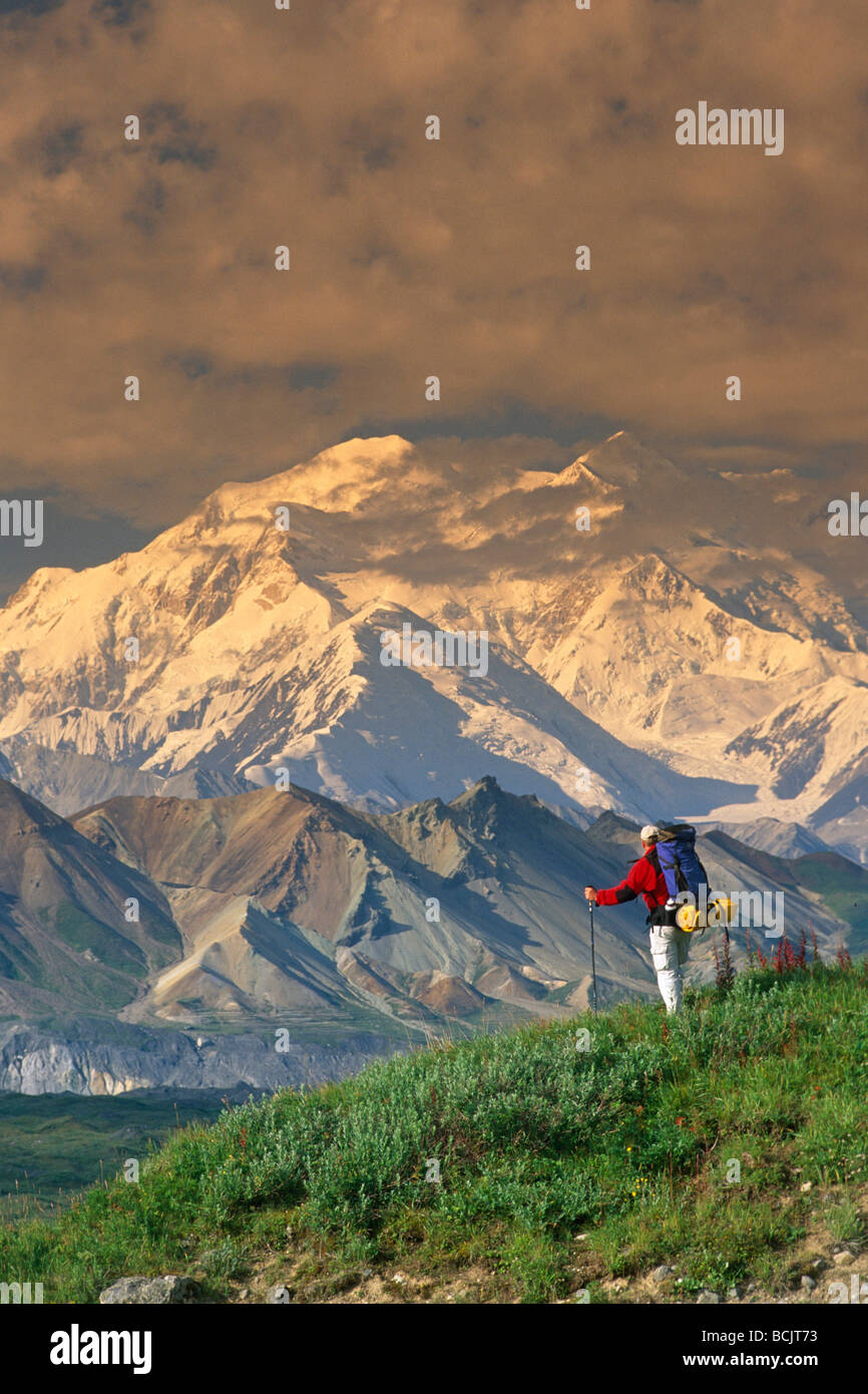 Man Hiking on Tundra w/Mt McKinley Denali NP IN AK Summer Stock Photo