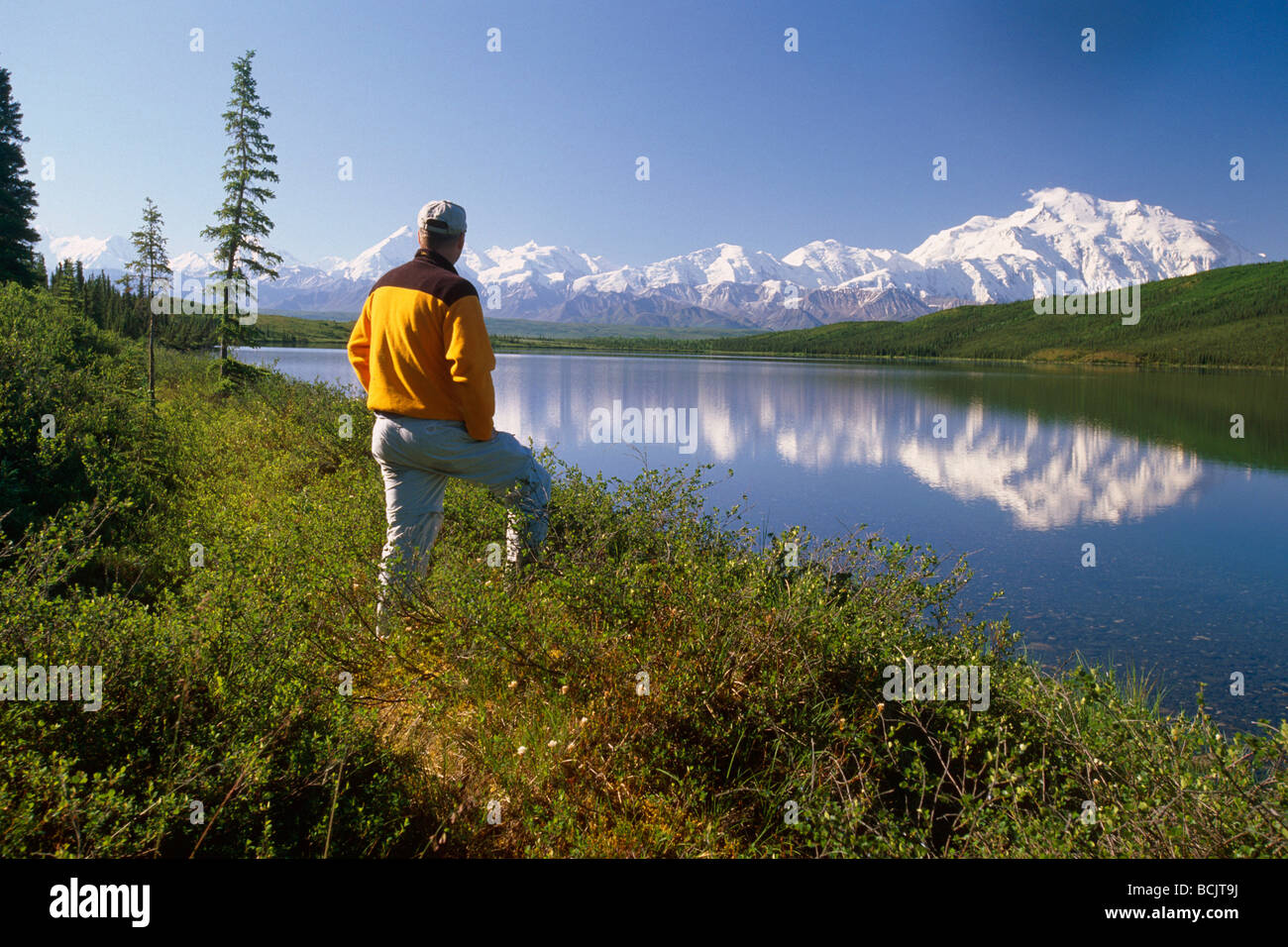 Day Hiker Views Mt Mckinley @ Wonder Lake IN AK Summer Stock Photo