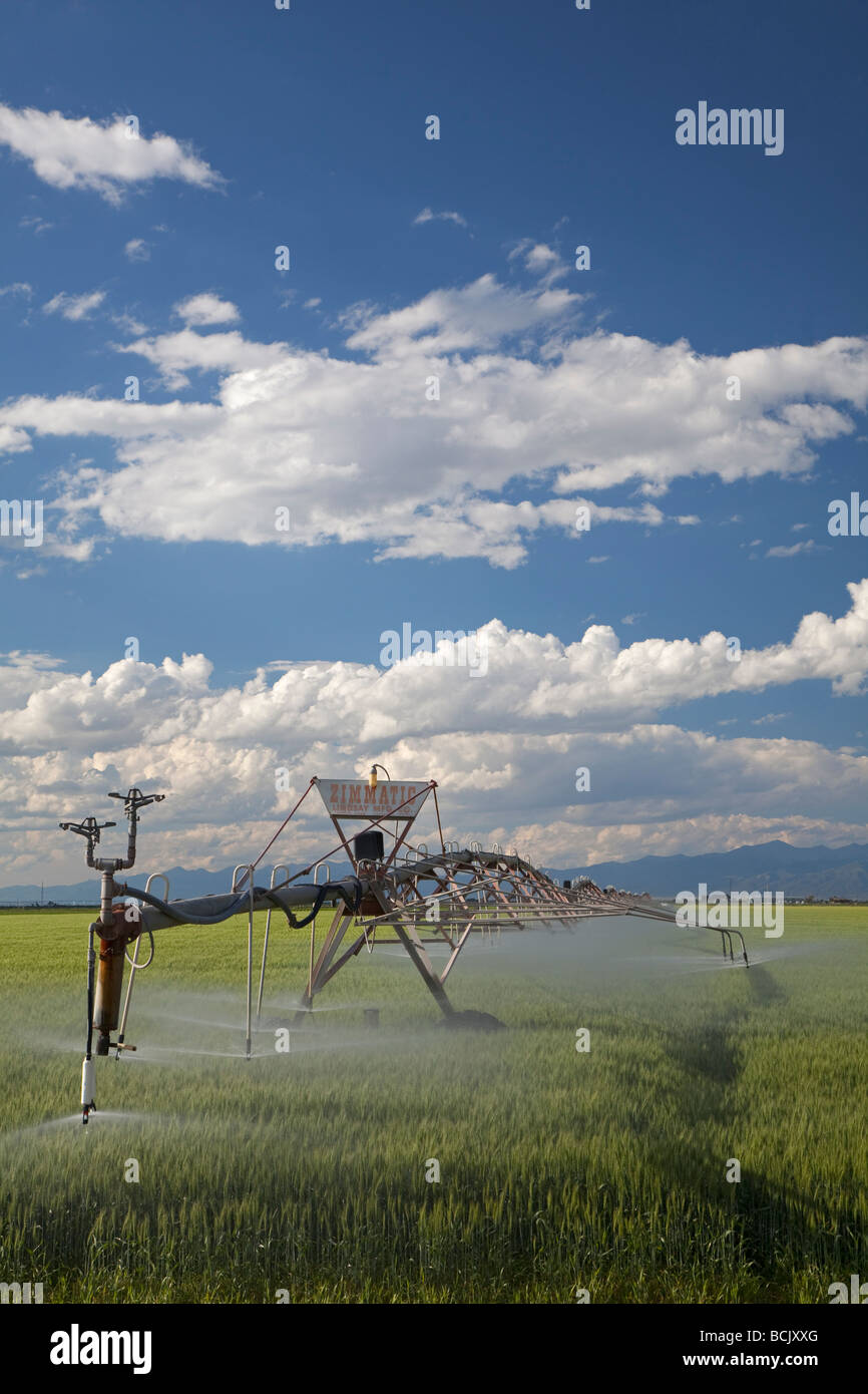 Irrigation system in the desert hires stock photography and images Alamy
