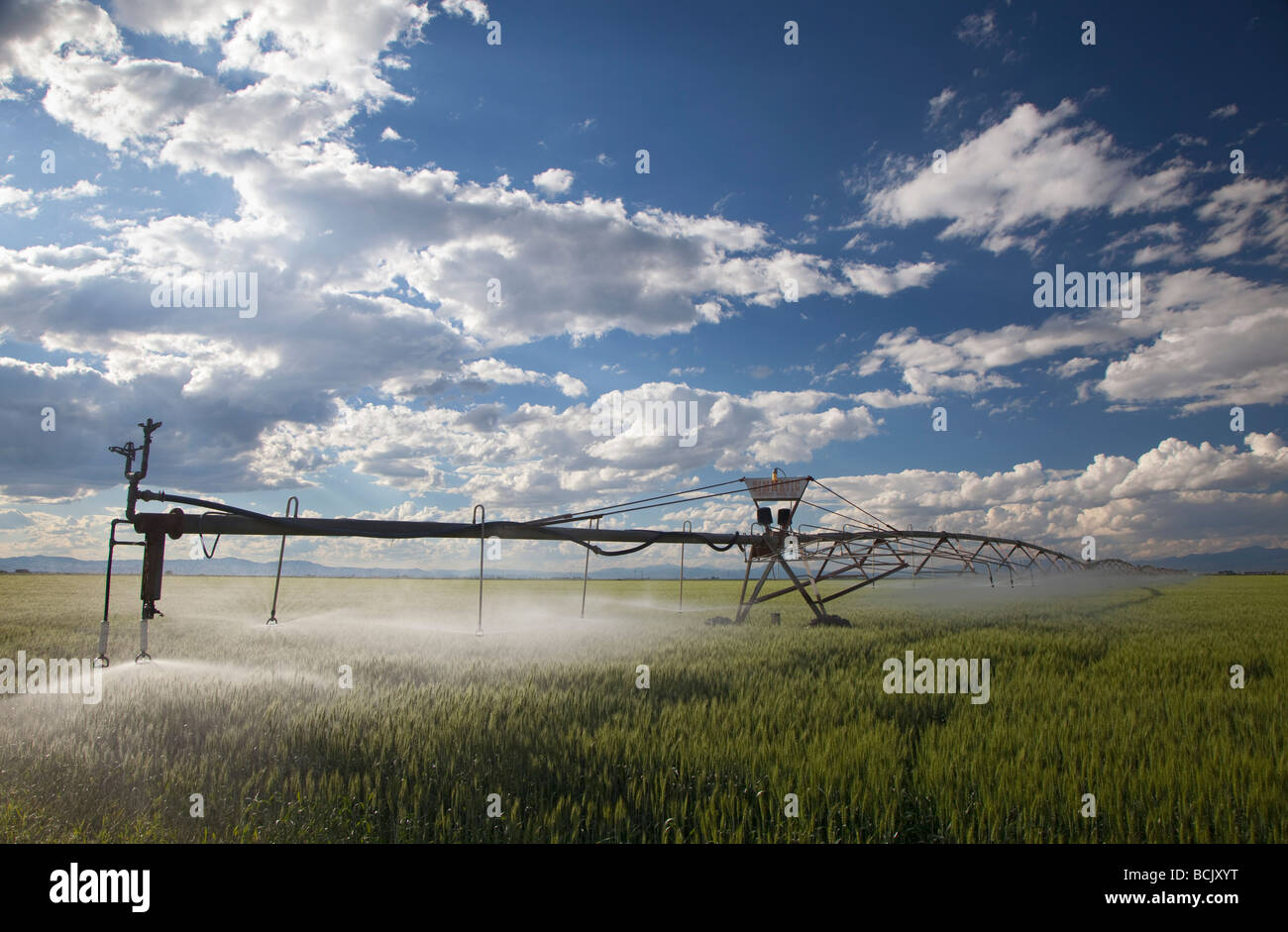 Alamosa Colorado A center pivot irrigation system waters a crop in the high desert of the San Luis Valley Stock Photo