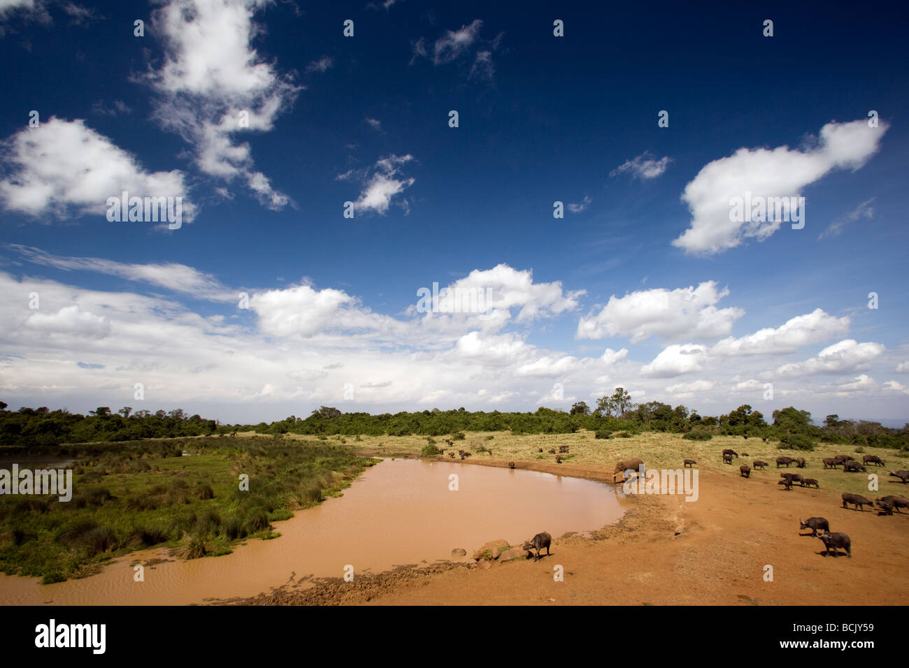 Waterhole at Ark Lodge - Aberdares National Park, Kenya Stock Photo