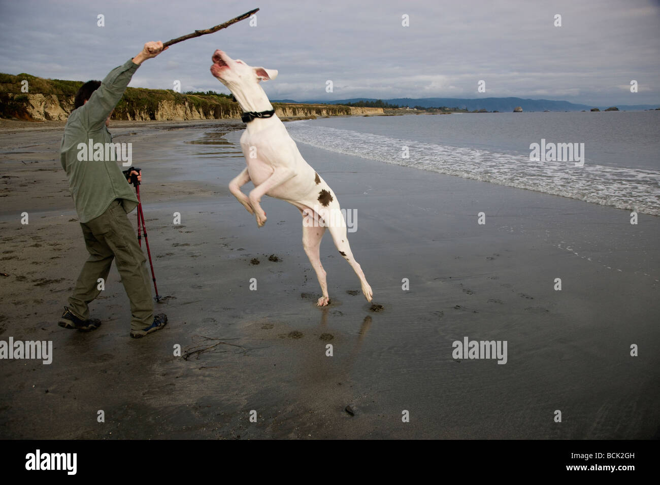 Great Dane 994600 (GSRKW2352S) - Great Dane Surfer Walk-Behind