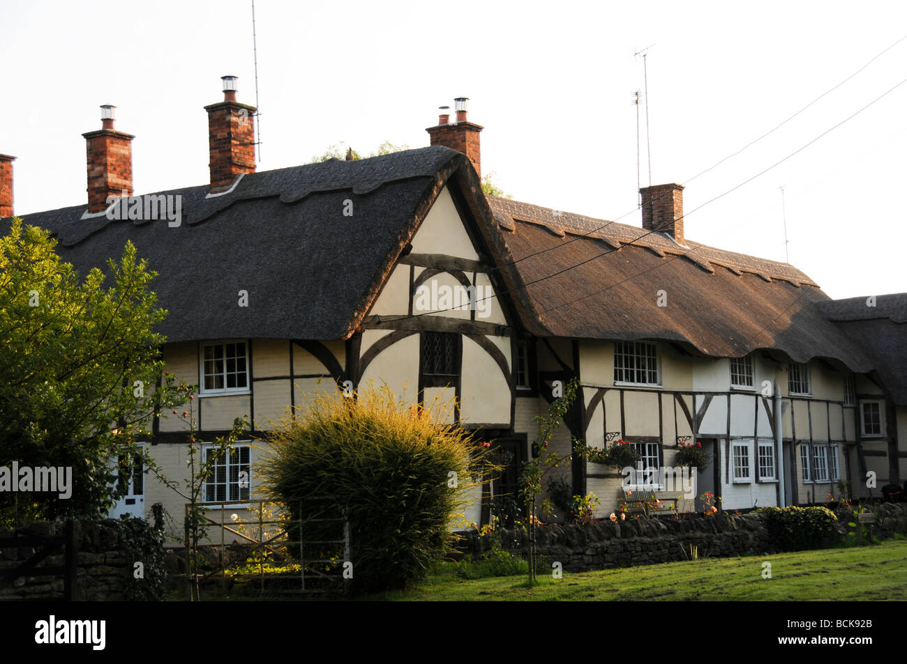 Traditional thatched cottage, Abingdon UK Stock Photo Alamy