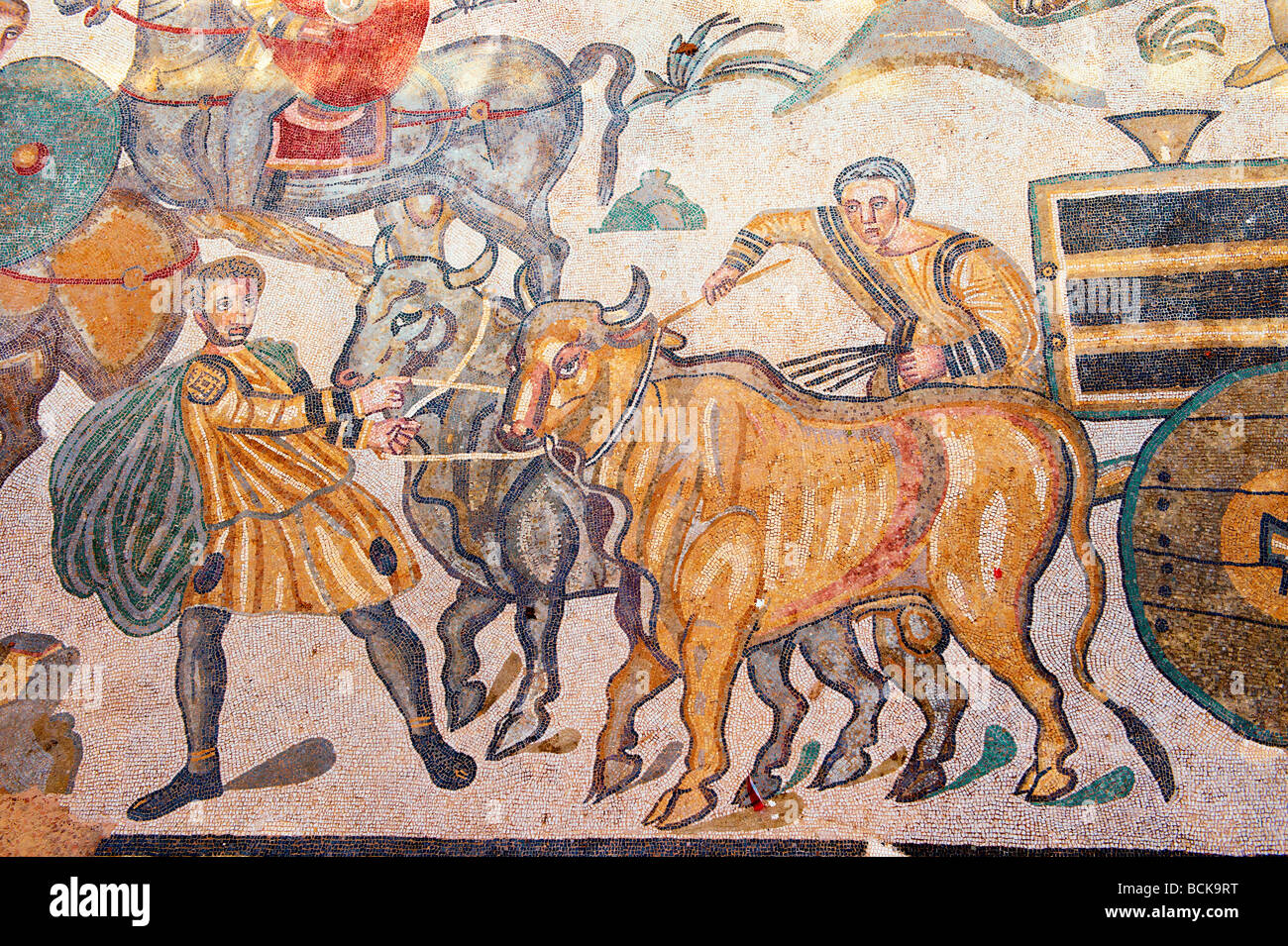 Roman mosaic of bull pulling a chariot  at the Villa Romana or Ericulia  or Casale Dei Saraceni, Morgantina, Sicily Stock Photo