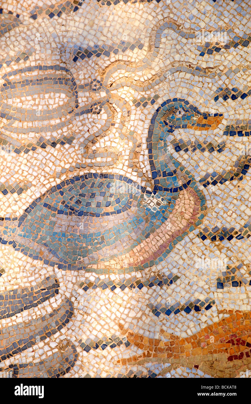 Roman mosaic of a duck  at the Villa Romana or Ericulia  or Casale Dei Saraceni, Morgantina, Sicily Stock Photo