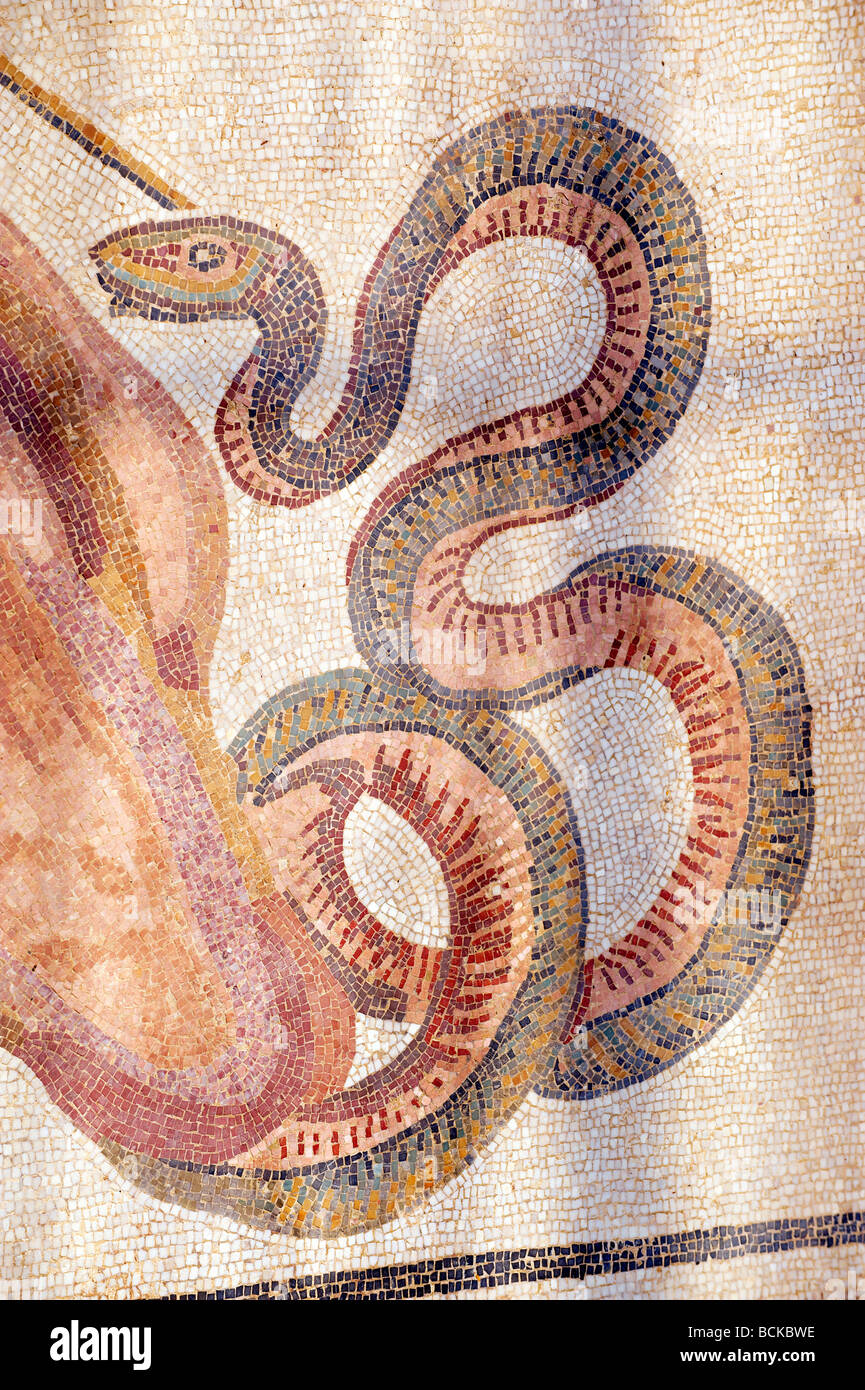 Roman mosaic of a snake  at the Villa Romana or Ericulia  or Casale Dei Saraceni, Morgantina, Sicily Stock Photo