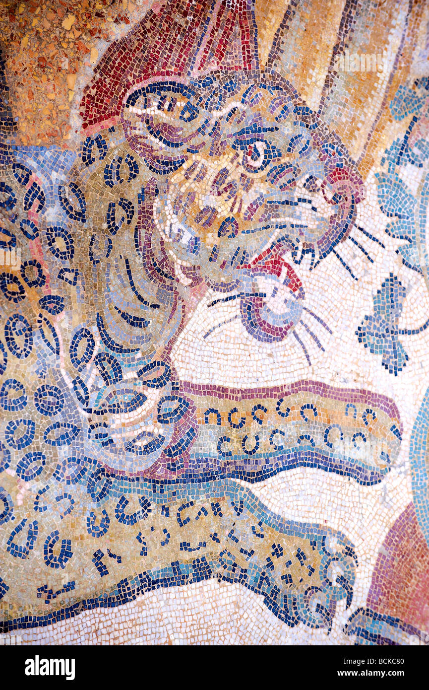 Roman mosaic of a tiger at the Villa Romana or Ericulia  or Casale Dei Saraceni, Morgantina, Sicily Stock Photo