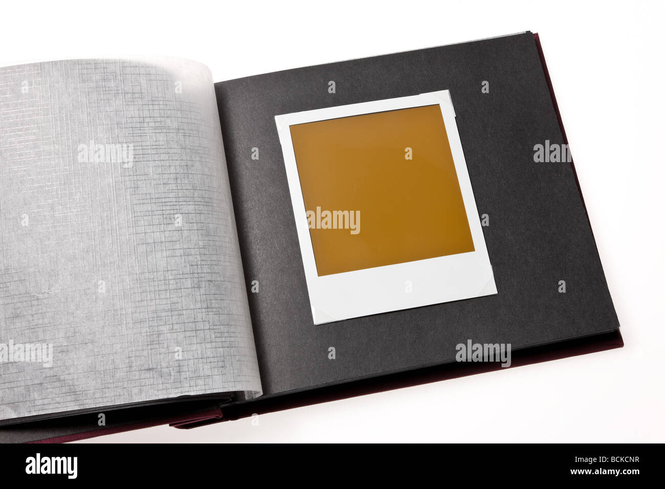 isolated blank photo in a photo album Stock Photo Alamy