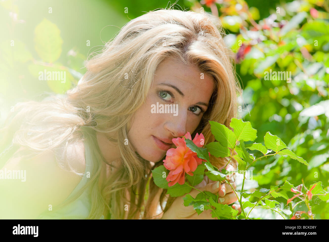 Woman smelling a rose in the garden Stock Photo - Alamy