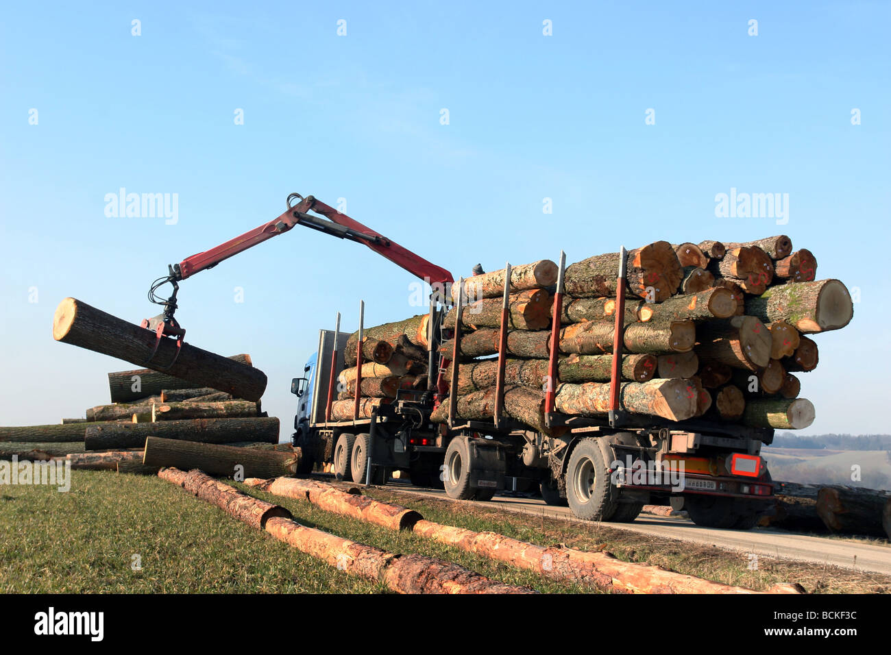 Forestry workers at the loading of logs with a crane Stock Photo
