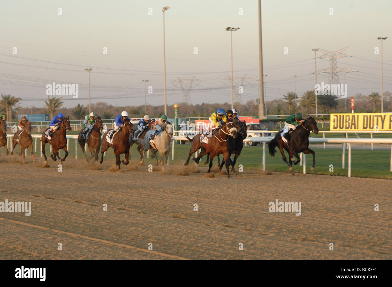 Horse racing at Nad al Sheba Racecourse, Dubai Stock Photo