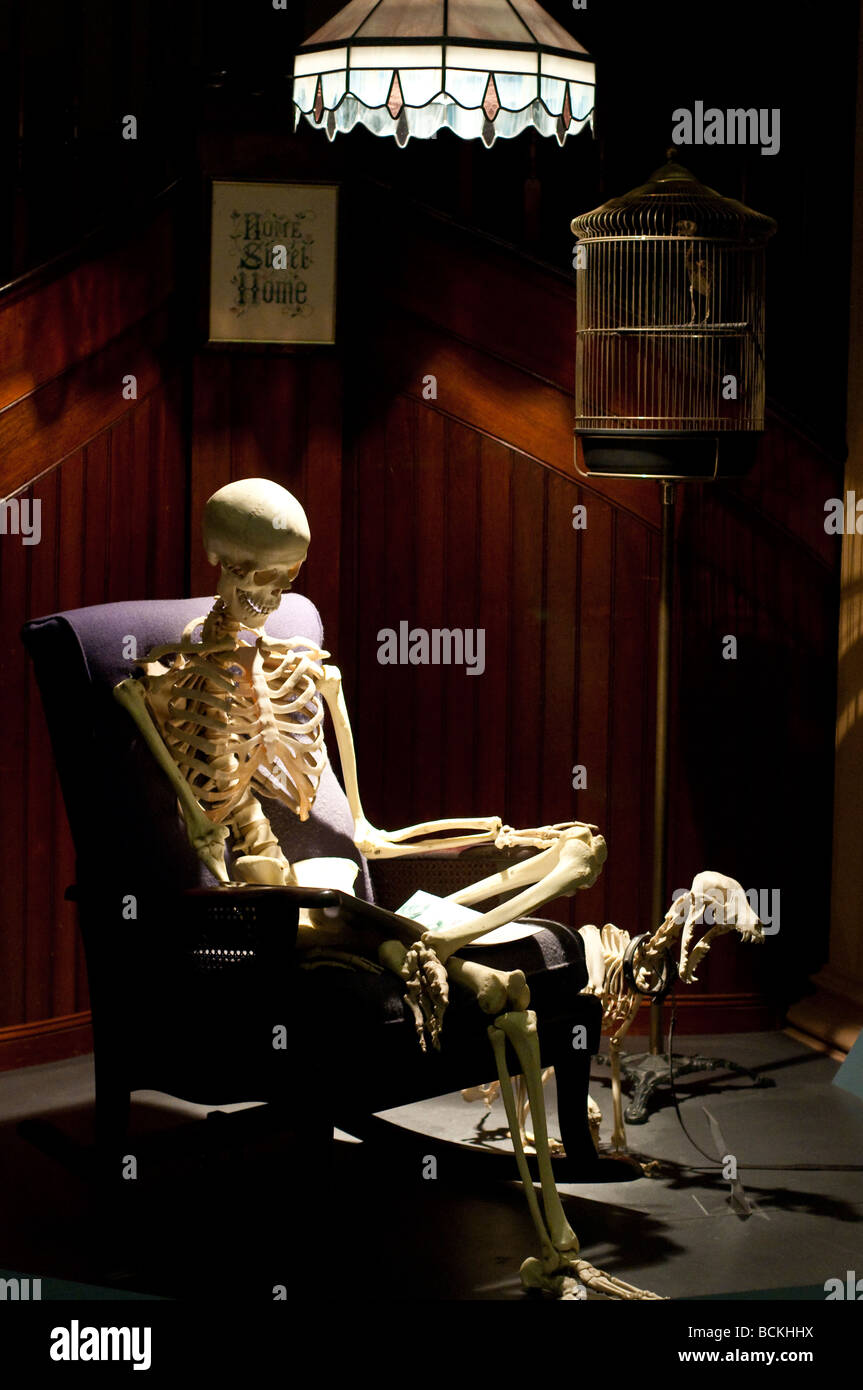 Human skeleton reading a book with title Home Sweet Home, Australian Museum Sydney Stock Photo