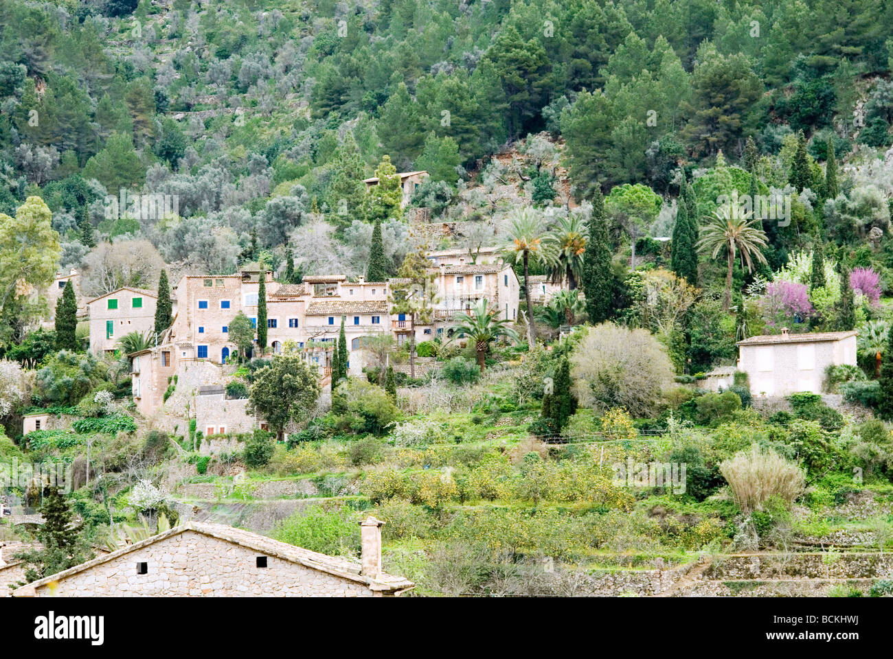 The village Deia on the balearic island Mallorca, Spain. Stock Photo