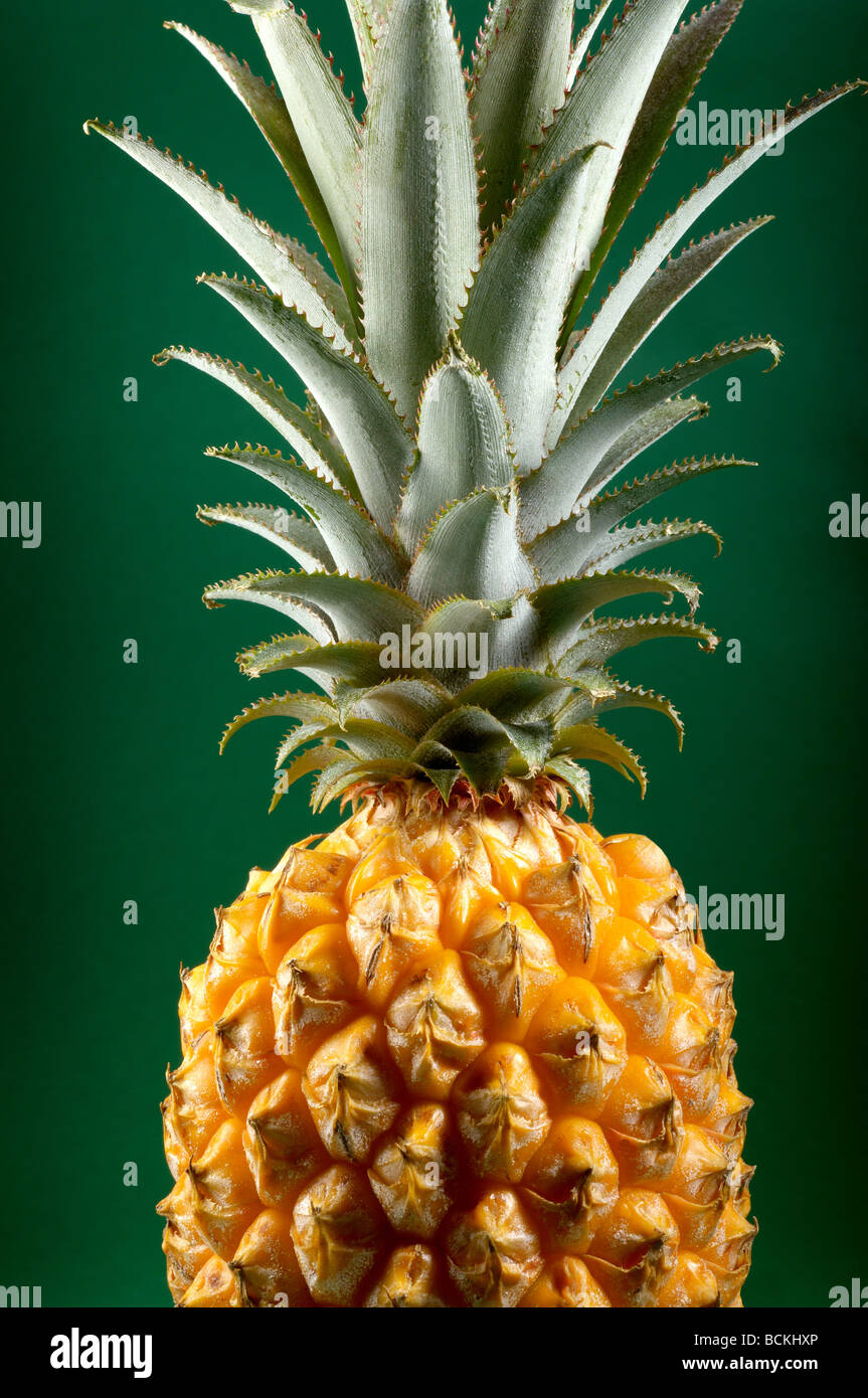 Pineapple on green background Stock Photo
