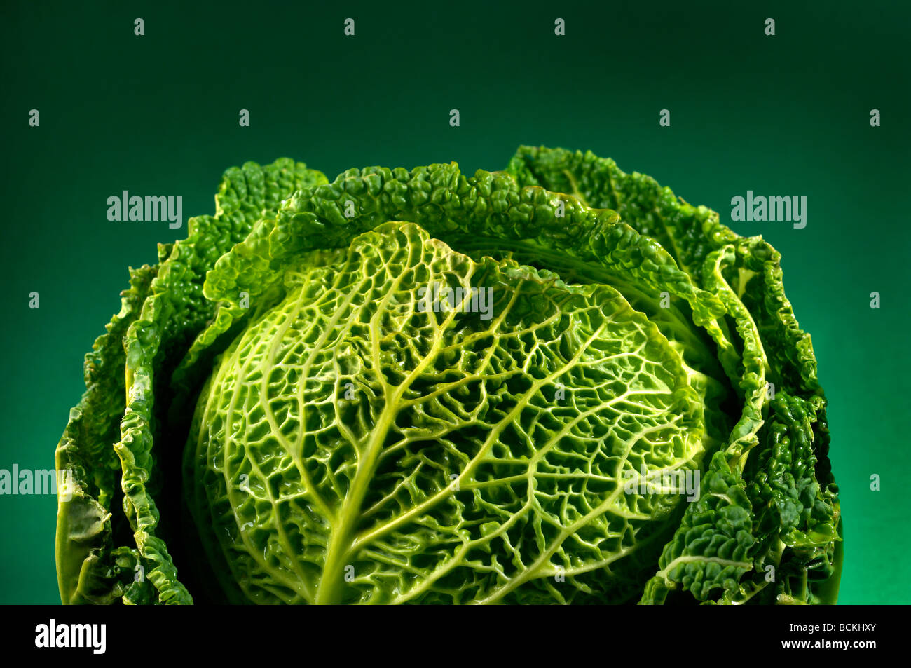 Savoy cabbage on green background Stock Photo