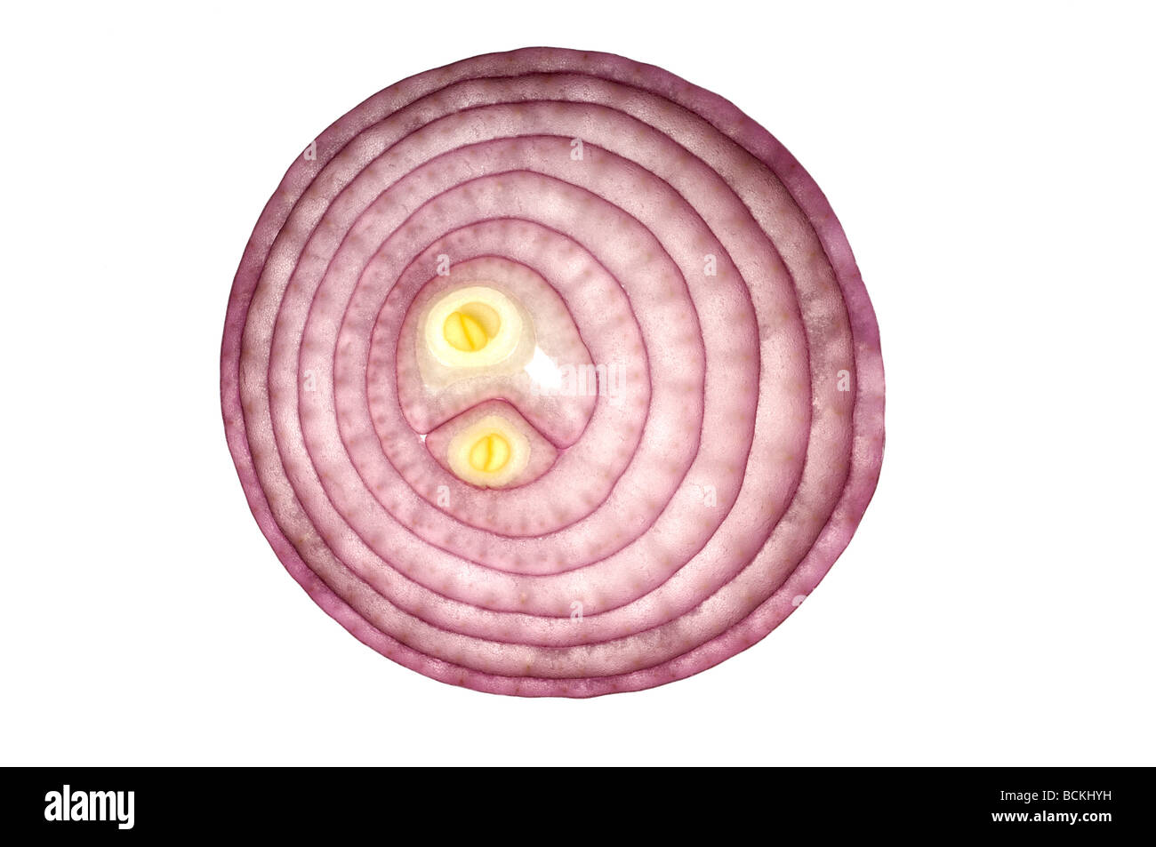 Slice of red onion on white background Stock Photo